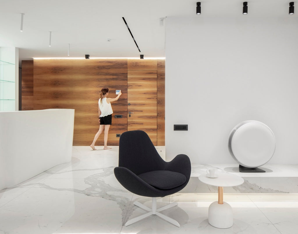 Atem X Waiting Area air purifier