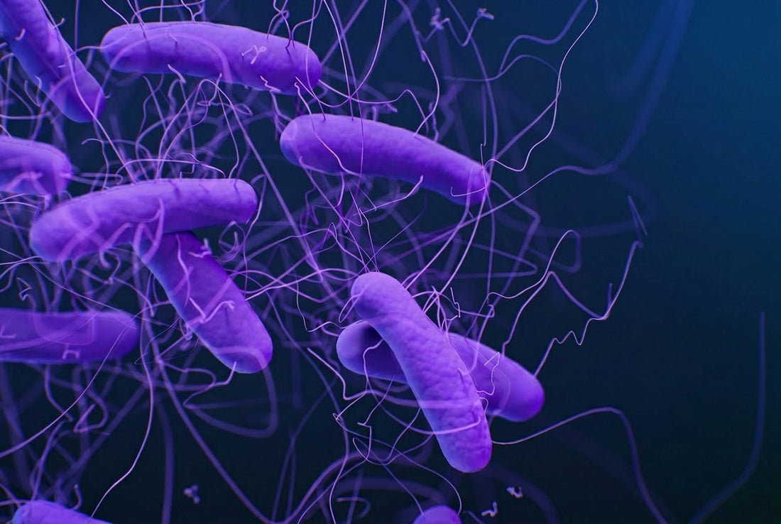 C.diff Infection in Hospitals