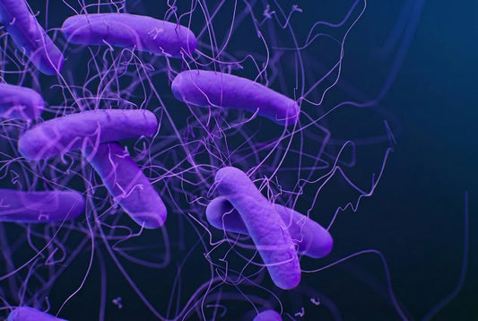 C.diff Infection in Hospitals