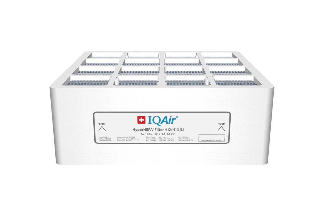 HEPA filtration efficacy in capturing SARS-CoV-2