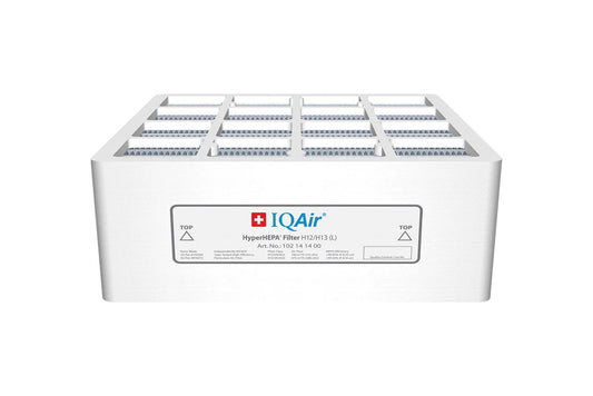 HEPA filtration efficacy in capturing SARS-CoV-2