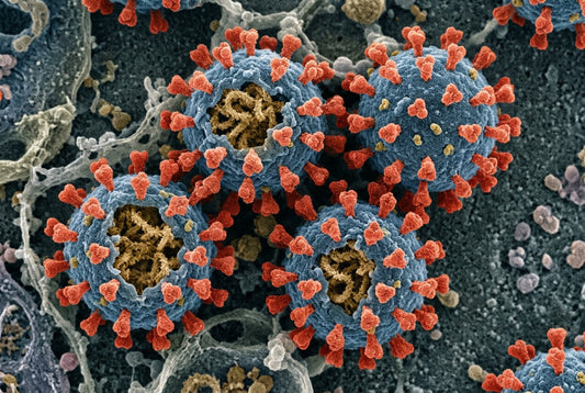 How to filter coronavirus particles out of the air