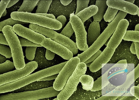 Pseudomonas Infection Control in Hospitals