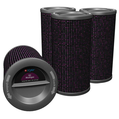 IQAir GC MultiGas Cartridge-Filter