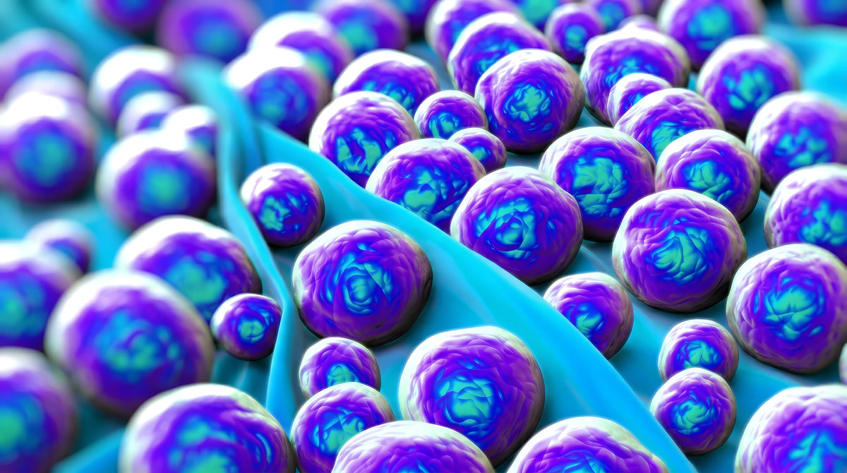 Air Scrubbers for MRSA